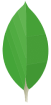 Logo of MongoDB